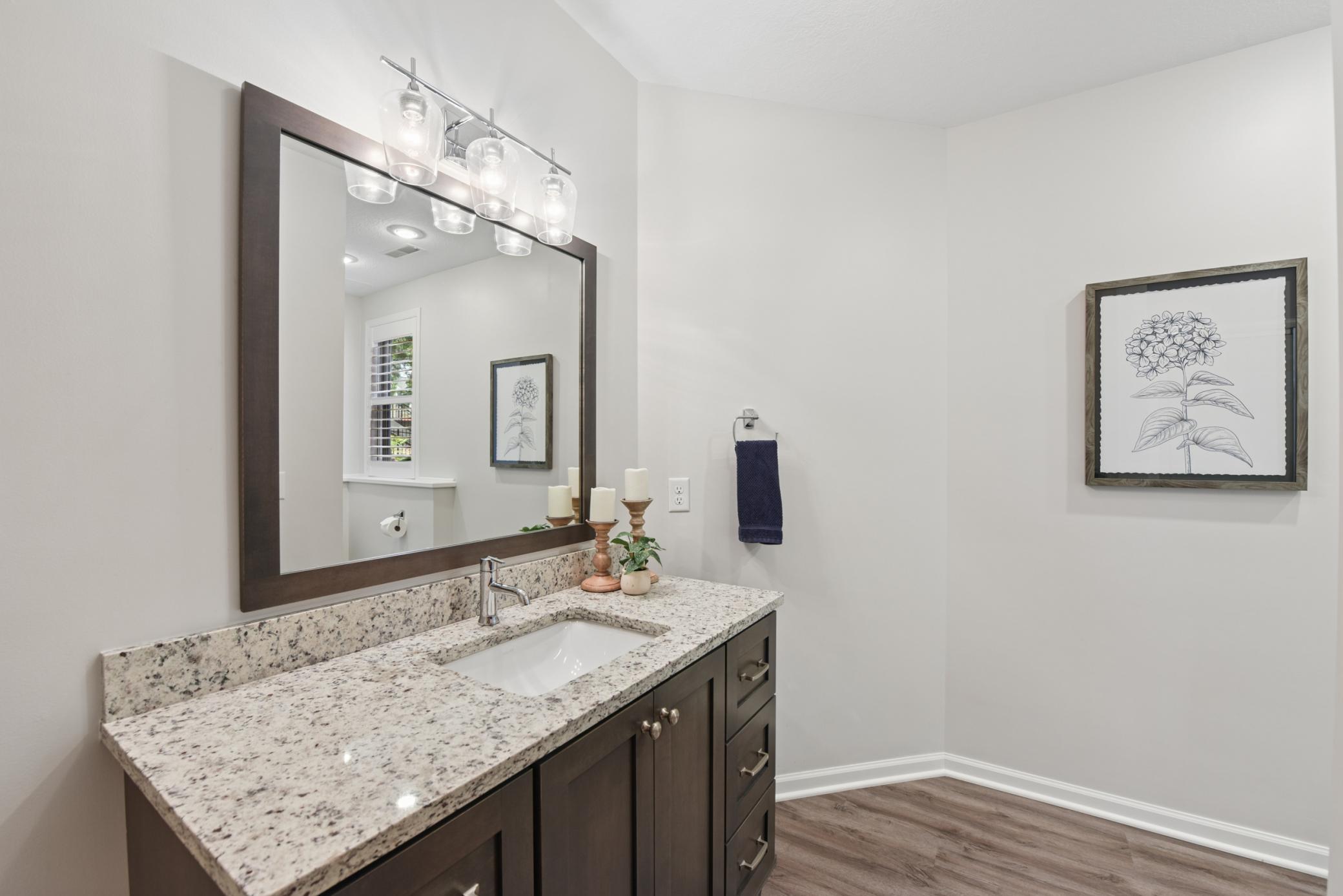 Lower level bathroom