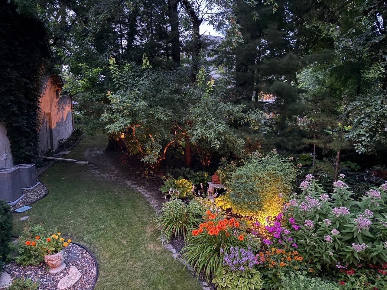 Summer photos of the perennial gardens in bloom.
