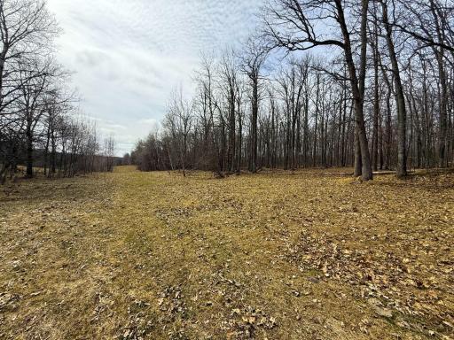 3298 Harbor Street, Isle, MN 56342