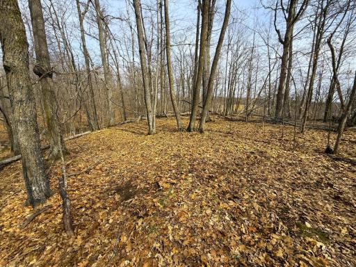 3298 Harbor Street, Isle, MN 56342