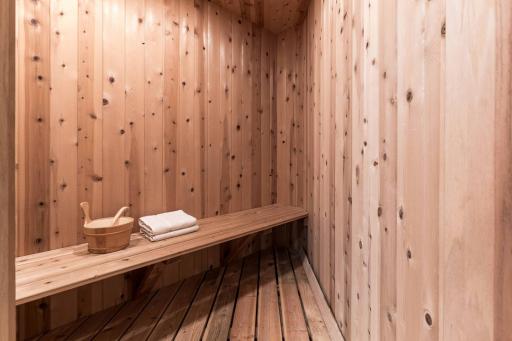 Large sauna for those frigid winter nights.
electric unit sauna.