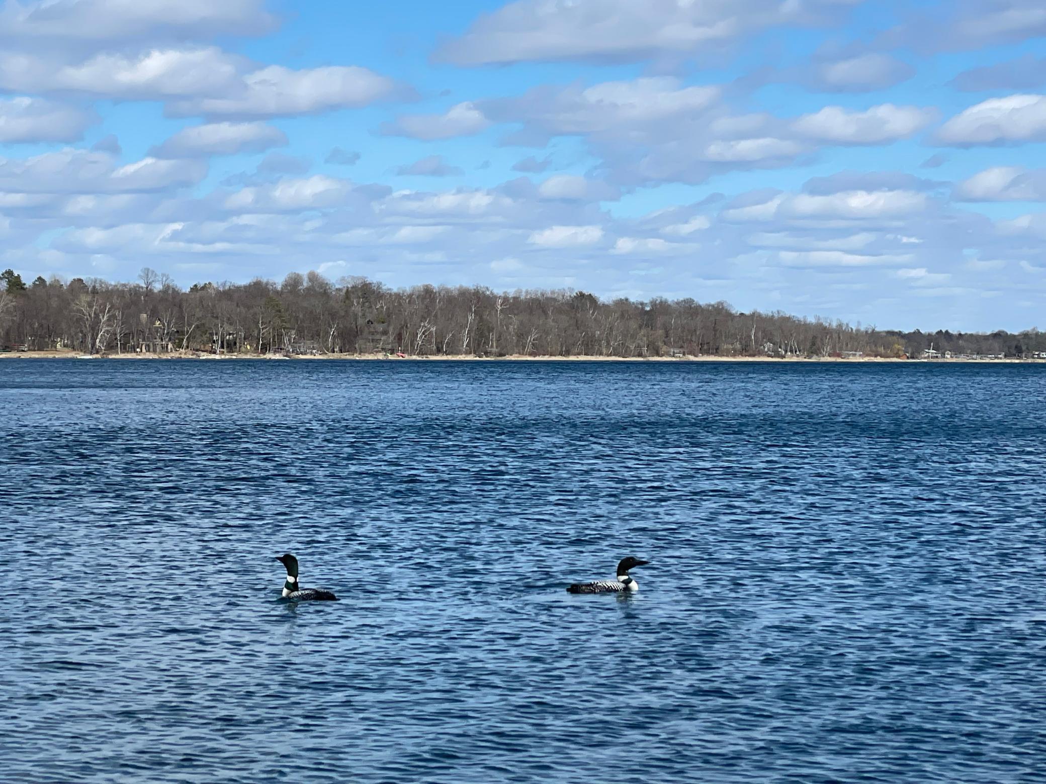 Nothing is more peaceful than a MN lake.