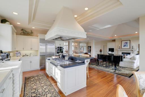 Kitchen has a pasta area. Thermadore cooktop and fan/hood.