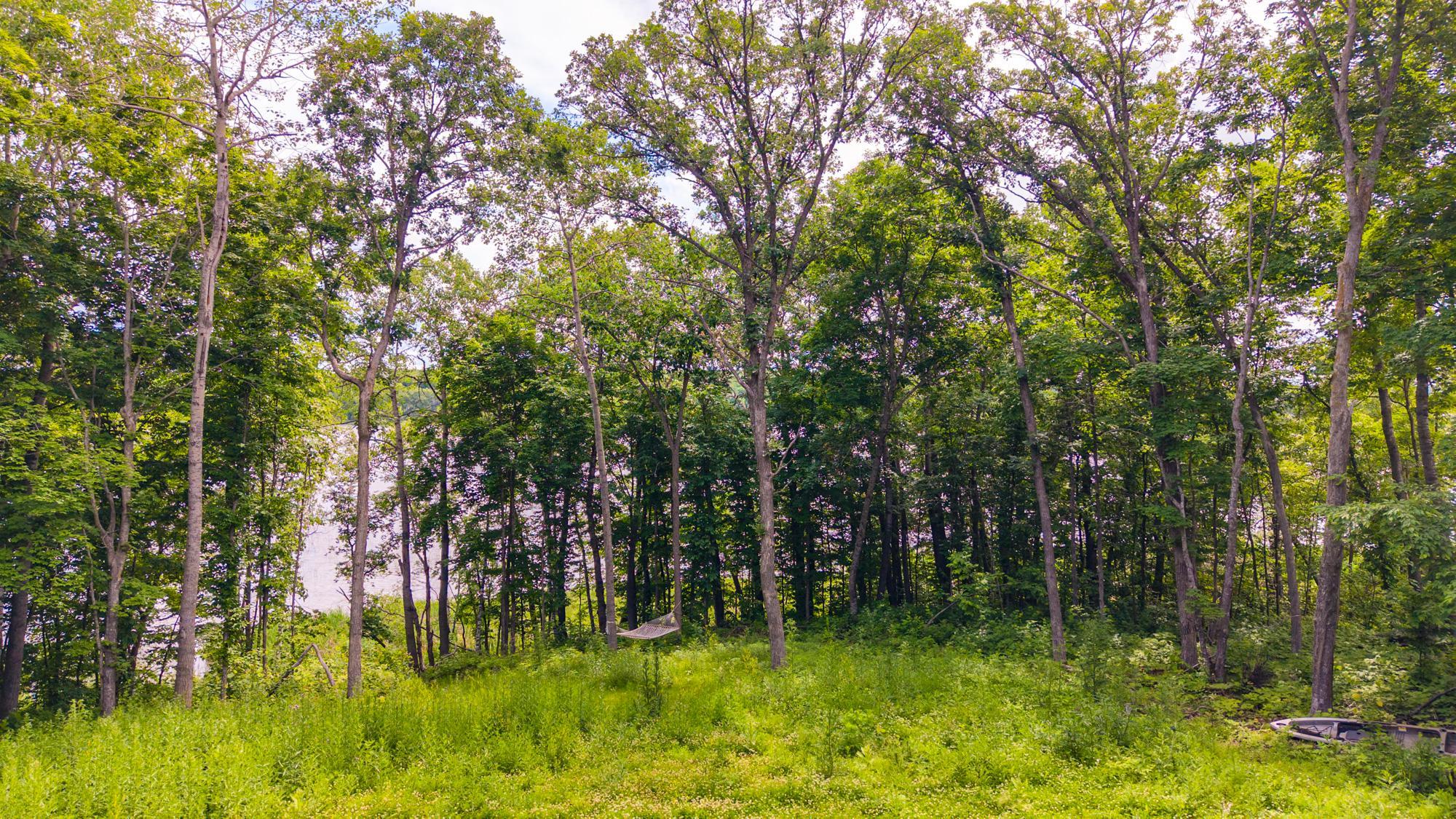 Ogema Lot-3.jpg