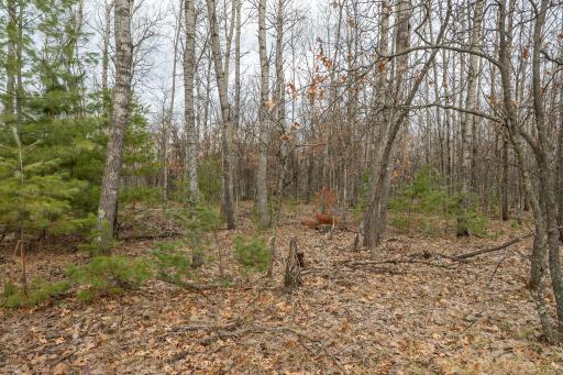 Lot 3 S Madison Avenue, Wascott, WI 54838