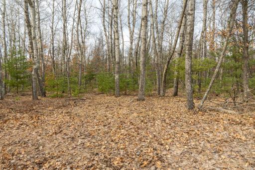 Lot 3 S Madison Avenue, Wascott, WI 54838