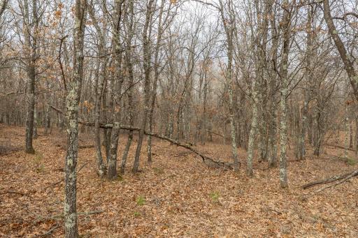 Lot 6 S Madison Avenue, Wascott, WI 54838
