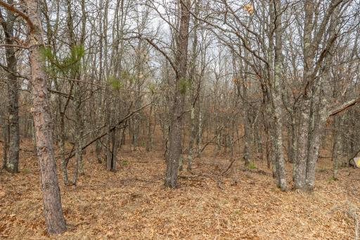 Lot 6 S Madison Avenue, Wascott, WI 54838