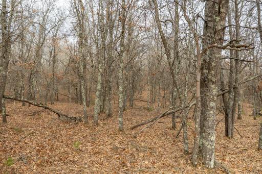 Lot 6 S Madison Avenue, Wascott, WI 54838