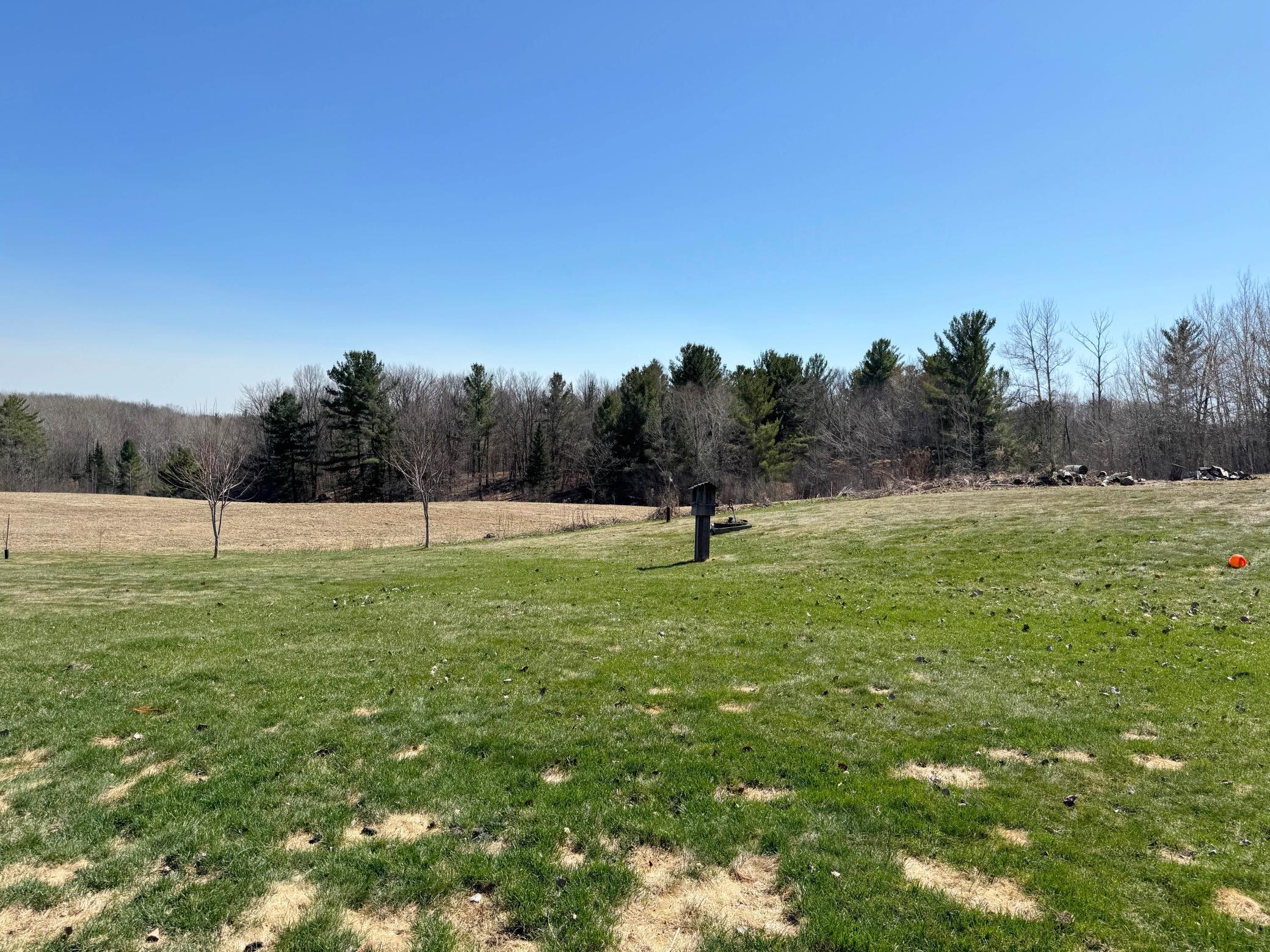 More views of the yard and scenery.