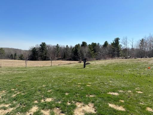 More views of the yard and scenery.