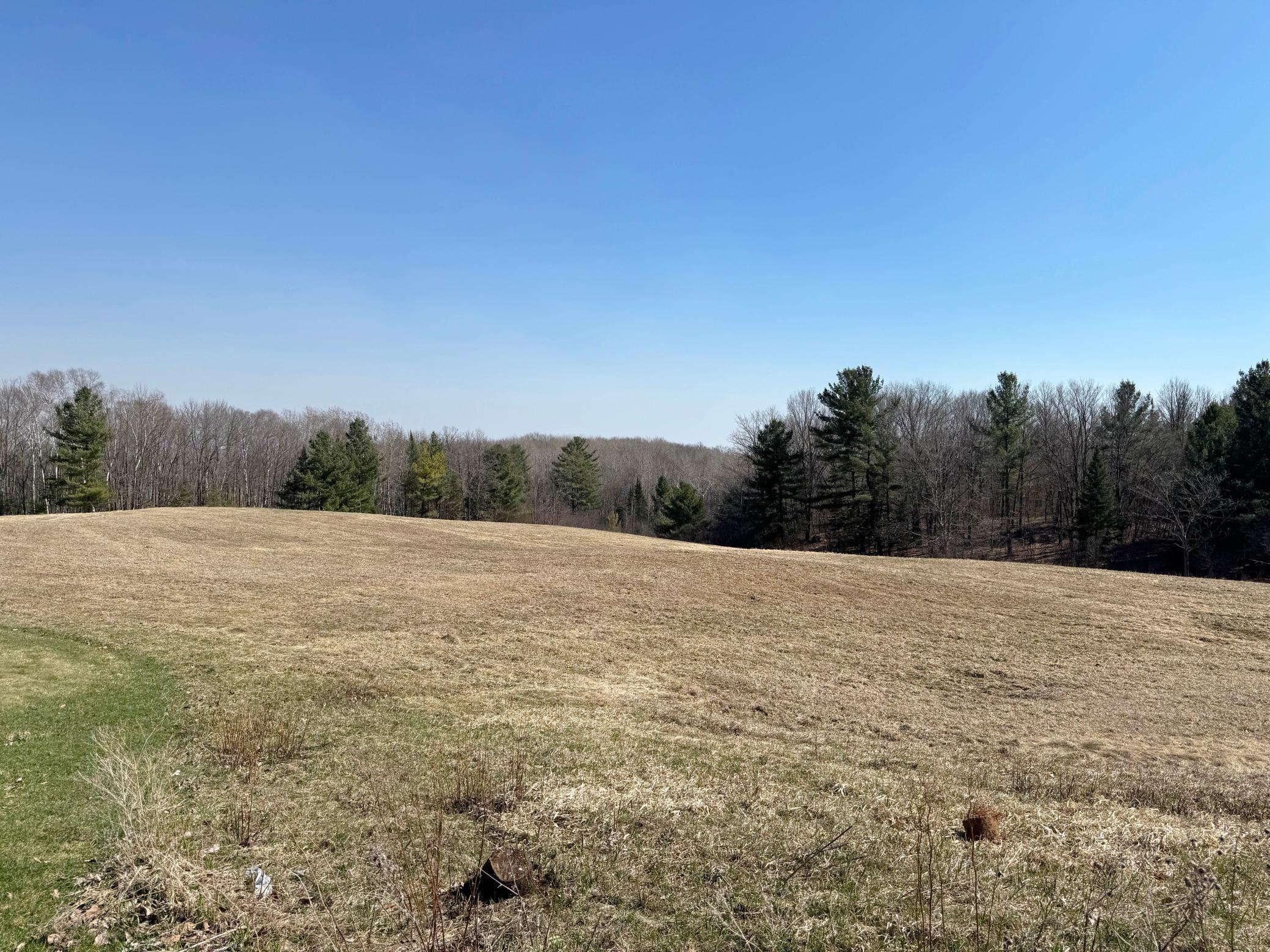 Looking out at the scenery from the yard.
