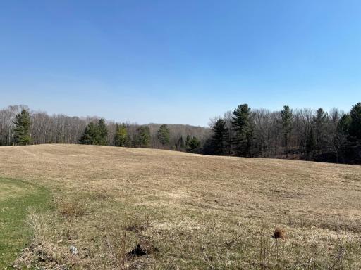 Looking out at the scenery from the yard.
