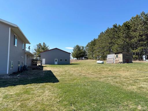 Views of the backyard.