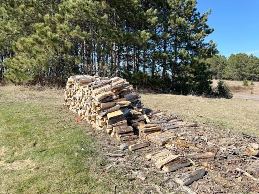 A shot of the wood pile.