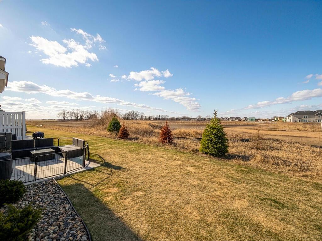 No One Behind You, Walkout Concrete Patio, Recently Planted Pine Trees