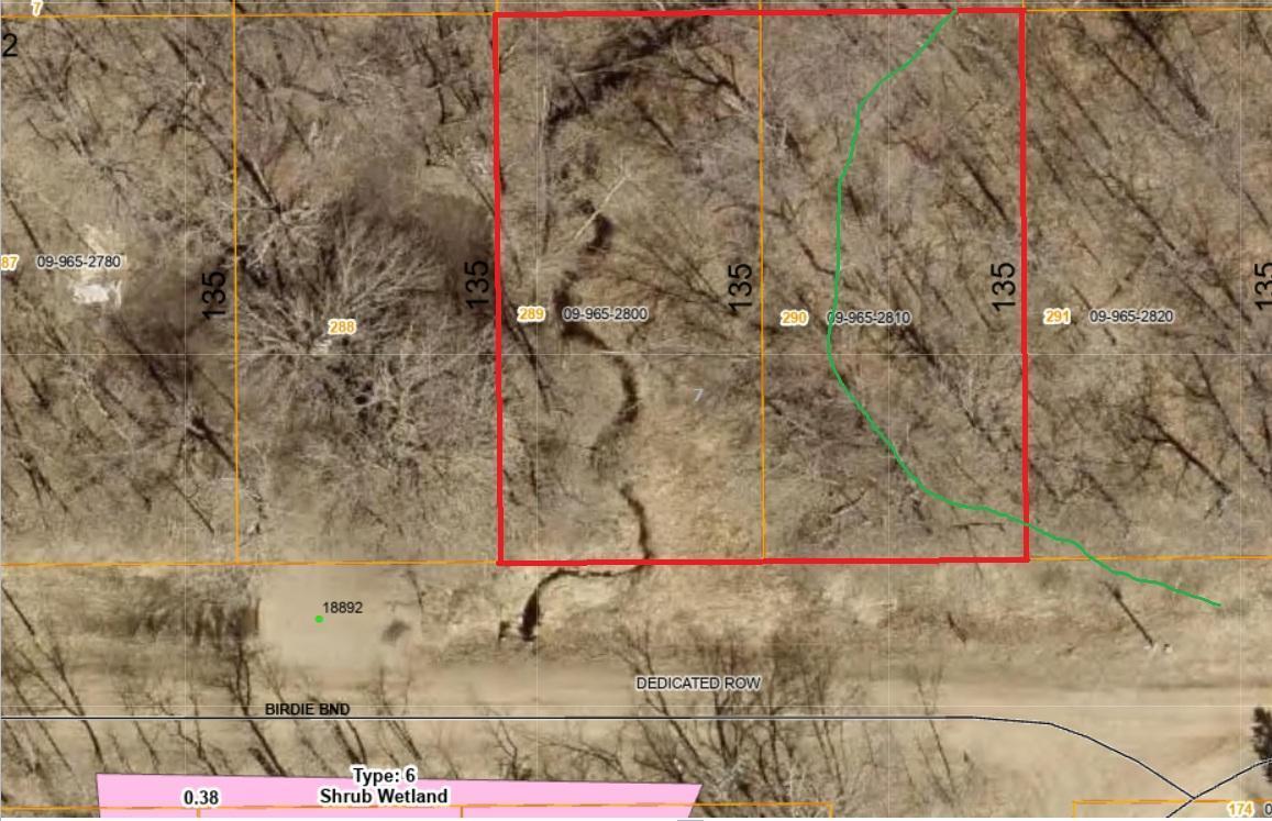 GIS Imaging with Wetland Overlay