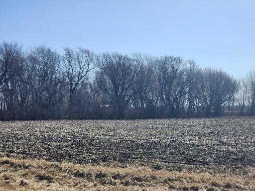 16305 680th Street S, Dodge Center, MN 55927