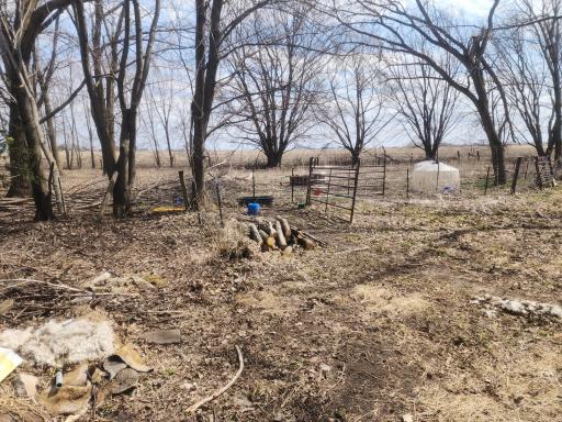 16305 680th Street S, Dodge Center, MN 55927
