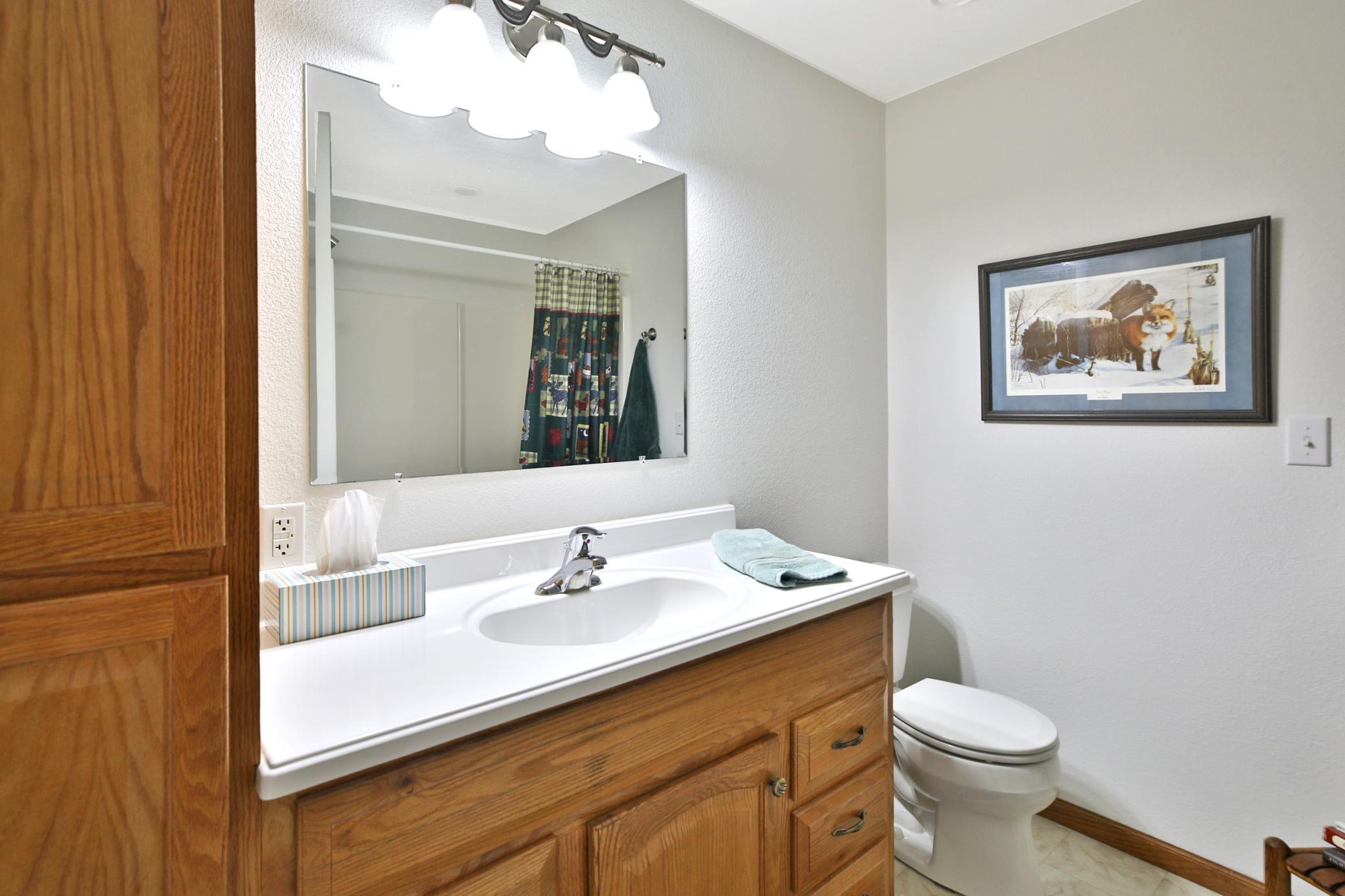 Lower level bathroom