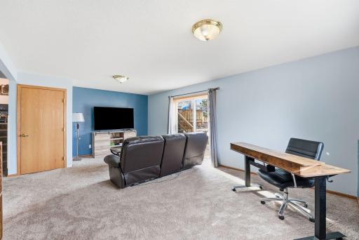 The lower level offers enough space for both a family room and a flex space
