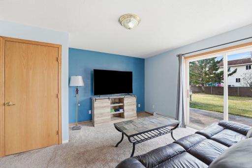 Lower level family room walks out to the backyard patio