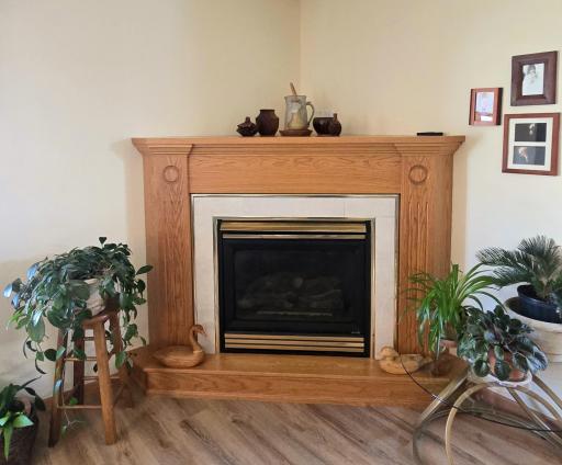 1425 Fairview Lane, Little Falls, MN 56345
