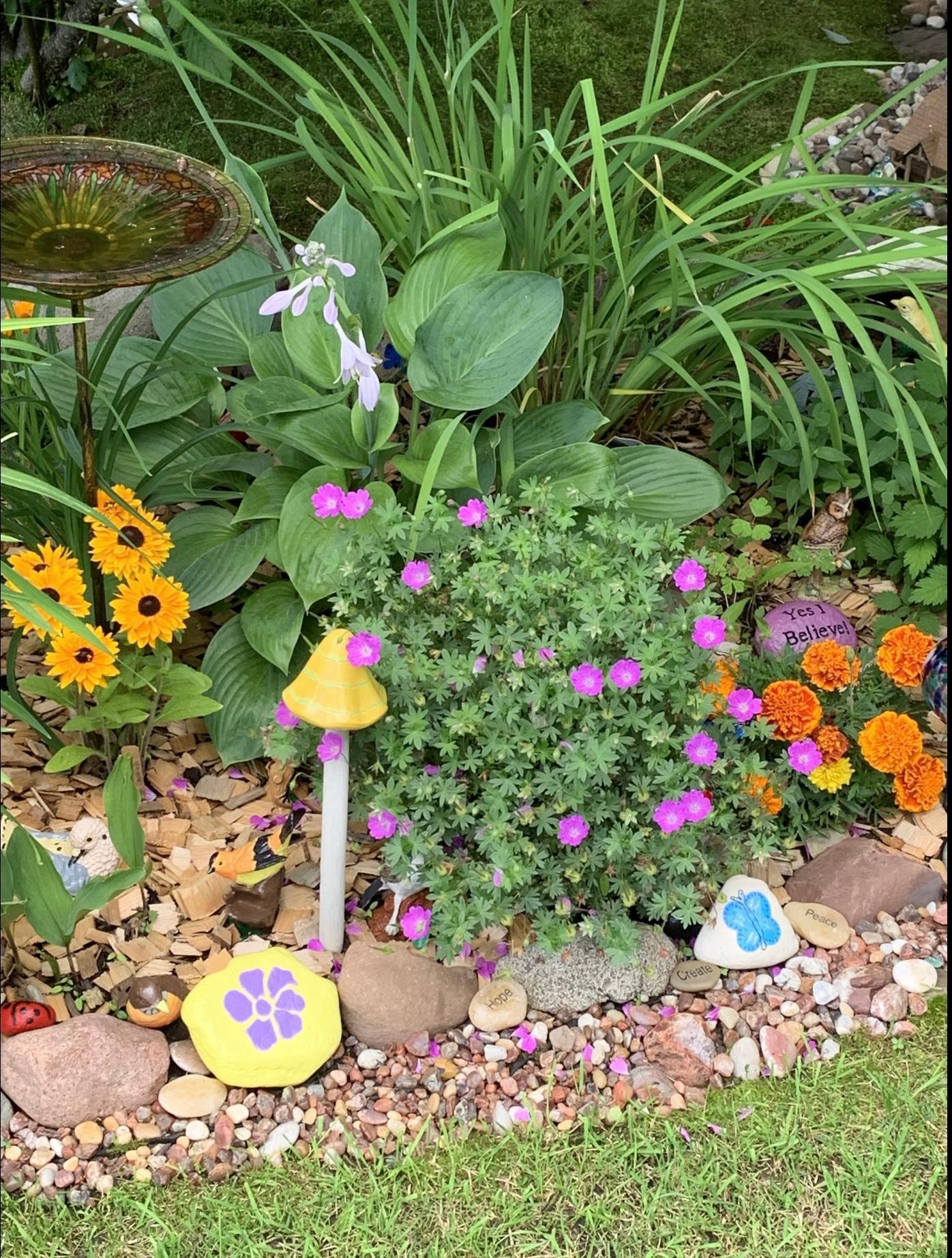 Beautiful Perennials Trimmed & Ready to look like this!