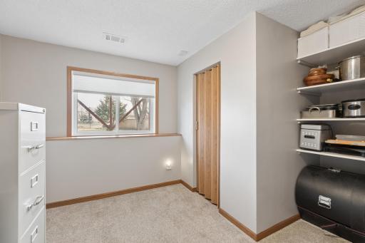 The 2nd bedroom on the lower level is currently being used as an office. Note all the storage!
