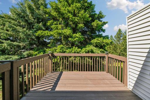 917 Countryside Road, Waconia, MN 55387