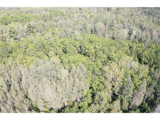 XXX Highway 12, Two Harbors, MN 55616