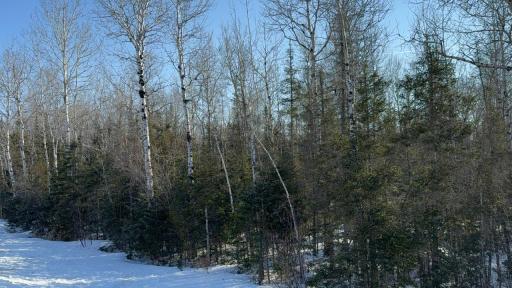 XXX Highway 12, Two Harbors, MN 55616