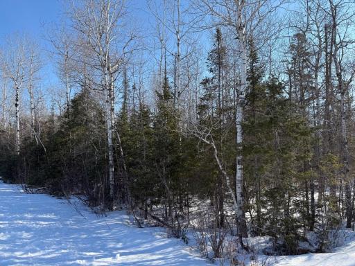 XXX Highway 12, Two Harbors, MN 55616