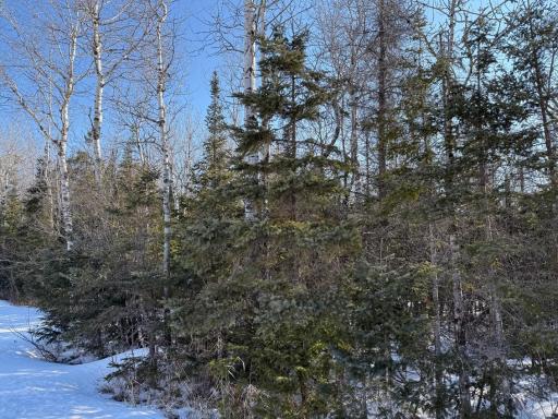 XXX Highway 12, Two Harbors, MN 55616