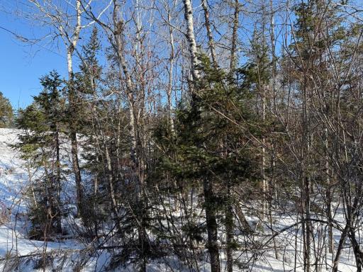 XXX Highway 12, Two Harbors, MN 55616