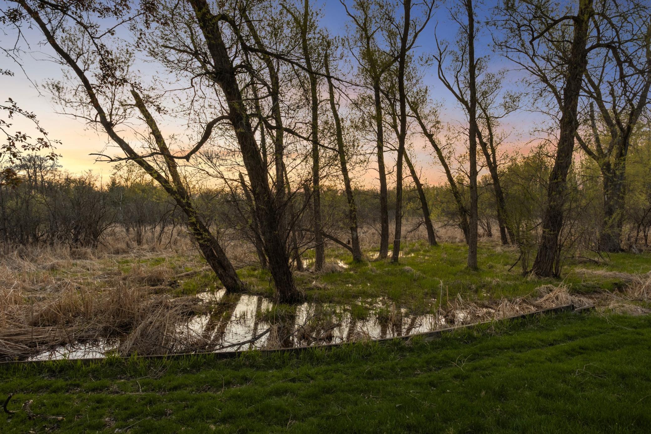 Backyard backed by nature