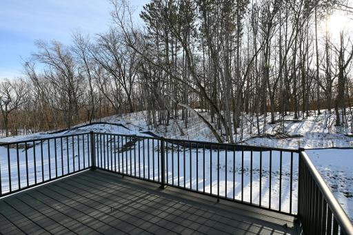734 Ensconced Way, Chaska, MN 55318