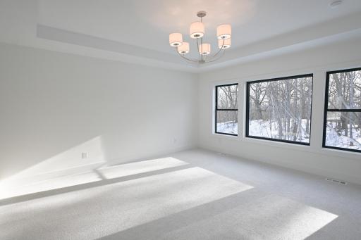 734 Ensconced Way, Chaska, MN 55318
