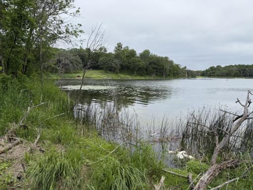 40815 Shadow Drive, Clitherall, MN 56524