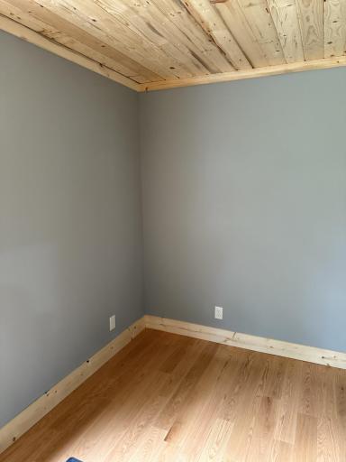 40815 Shadow Drive, Clitherall, MN 56524