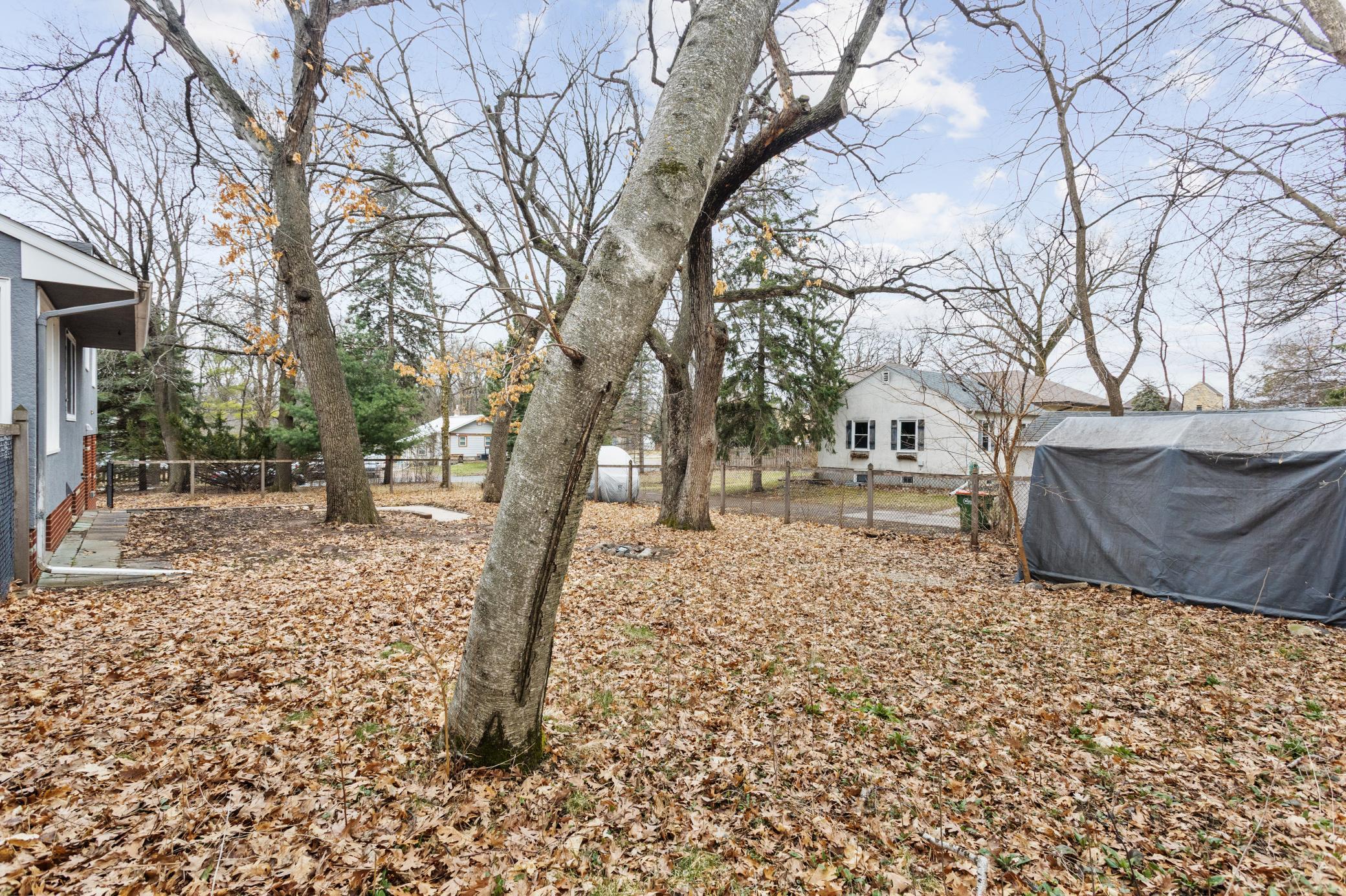 Fenced in backyard