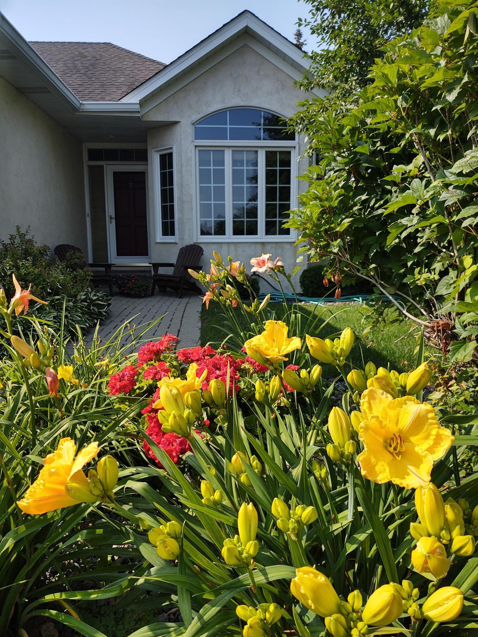 Beautiful seasonal blooms!