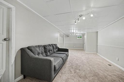 Lower-level Family Room