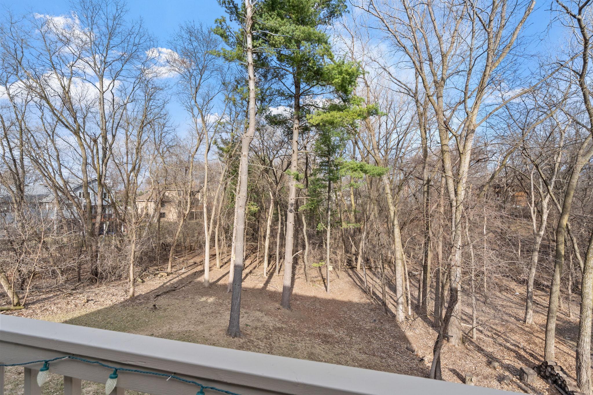 Serene view from the deck