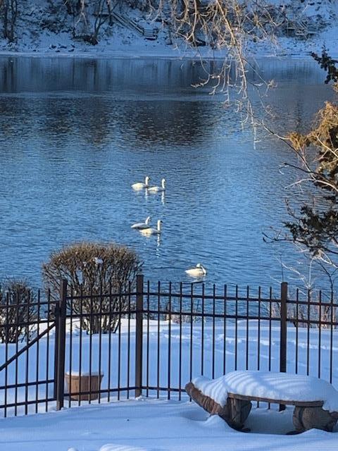 Winter river view.jpg