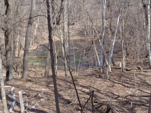 There is a wildlife pond on your property!