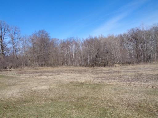 It's not uncommon to see 20-30 deer out in this field each night!