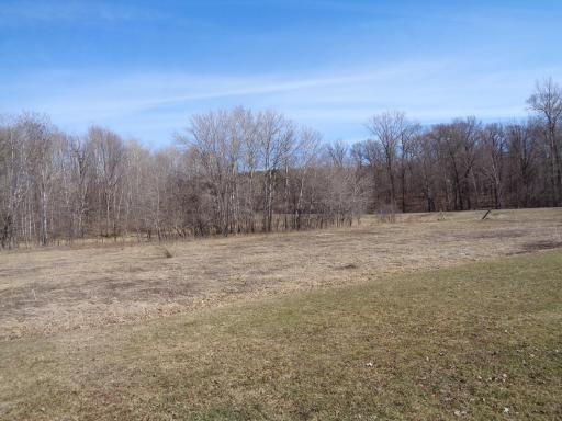 Field to the North of the house.