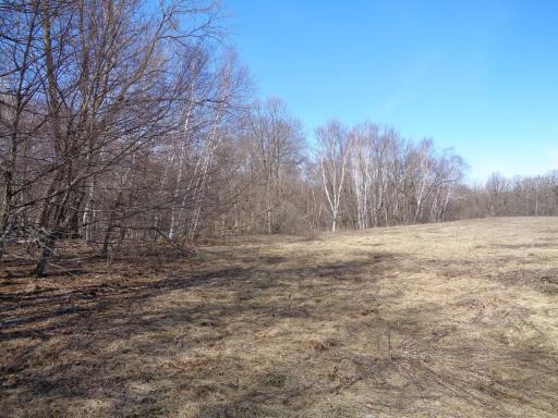You have 6 - 7 acres of Tillable to do what you'd like with!