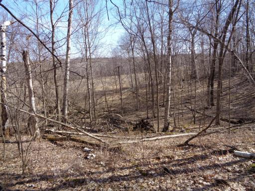 A view to the North!